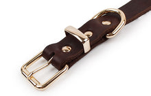 Load image into Gallery viewer, Top Grade Leather Dog Collar Pet Leads Alloy Buckle Itdinos
