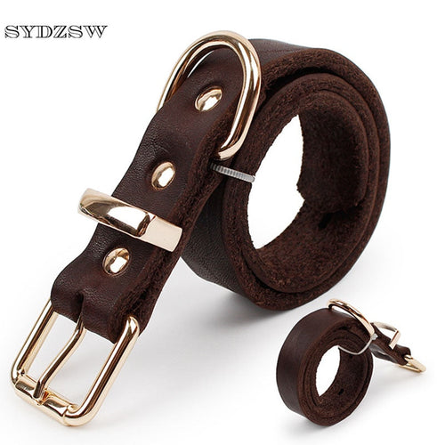 Top Grade Leather Dog Collar Pet Leads Alloy Buckle Itdinos