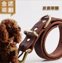 Load image into Gallery viewer, Top Grade Leather Dog Collar Pet Leads Alloy Buckle Itdinos
