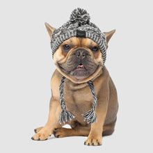 Load image into Gallery viewer, Warm Winter Pet Hat Itdinos
