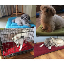 Load image into Gallery viewer, Pet Dog Bed Mat Kennel Large Cozy Soft Dog Bed Pet Cushion Sofa Winter Pet Products For Small Large Dogs Pitbull French Bulldog Itdinos
