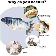 Load image into Gallery viewer, Interactive Electric floppy Fish Cat toy Itdinos
