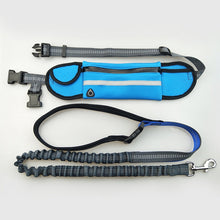 Load image into Gallery viewer, Handsfree Bungee Dog Leash Itdinos

