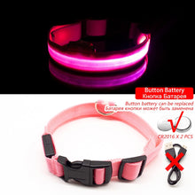 Load image into Gallery viewer, USB Charging Led Dog Collar Itdinos
