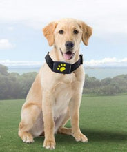 Load image into Gallery viewer, GPS Dog Collar Itdinos
