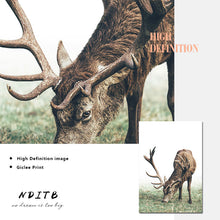 Lade das Bild in den Galerie-Viewer, Scandinavian Poster Nordic Style Deer Wood Wall Art Canvas Itdinos
