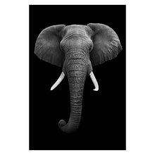 Lade das Bild in den Galerie-Viewer, Canvas Painting Wall Art Itdinos

