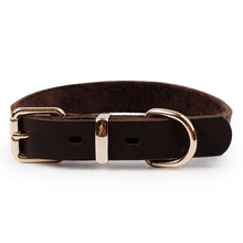 Load image into Gallery viewer, Top Grade Leather Dog Collar Pet Leads Alloy Buckle Itdinos
