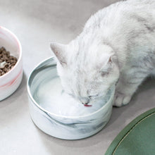 Load image into Gallery viewer, Marbling Ceramic Double Bowl For Pet Itdinos
