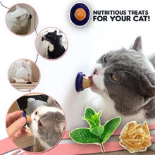 Load image into Gallery viewer, Cat Candy Treat Itdinos
