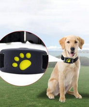 Load image into Gallery viewer, GPS Dog Collar Itdinos
