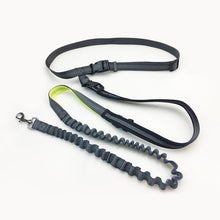 Load image into Gallery viewer, Handsfree Bungee Dog Leash Itdinos
