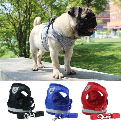 Reflective Safety Pet Dog Harness and Leash Set for Small Medium Dogs Cat Harnesses Vest Puppy Chest Strap Pug Chihuahua Bulldog Itdinos