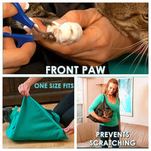 Load image into Gallery viewer, Cat Travel Pouch Itdinos

