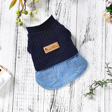 Load image into Gallery viewer, Luxury Winter Dog Jackets Itdinos
