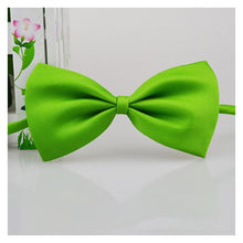 Load image into Gallery viewer, Pet Bow Tie Necklace Itdinos
