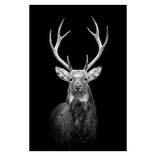 Lade das Bild in den Galerie-Viewer, Canvas Painting Wall Art Itdinos
