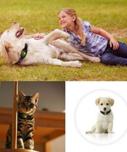 Load image into Gallery viewer, GPS Dog Collar Itdinos
