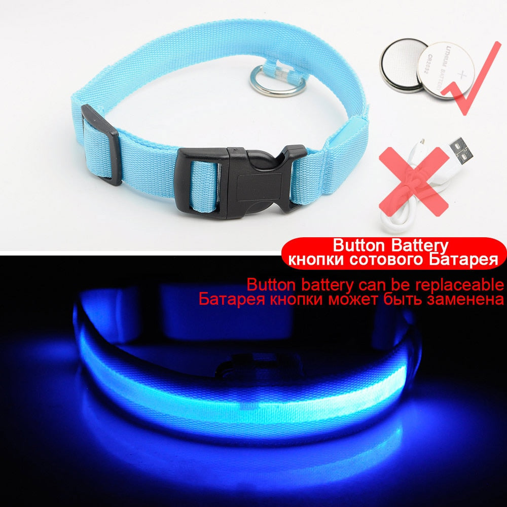 USB Charging Led Dog Collar Anti-Lost/Avoid Car Accident Collar Itdinos