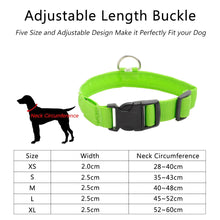Load image into Gallery viewer, USB Charging Led Dog Collar Anti-Lost/Avoid Car Accident Collar Itdinos
