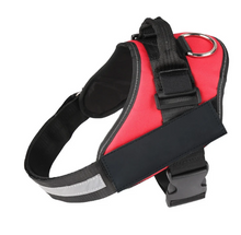 Load image into Gallery viewer, Dog Name Collar Vest Itdinos
