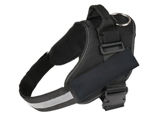 Dog Name Collar Vest Itdinos
