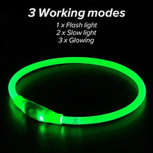 Load image into Gallery viewer, LED Dog Collar USB Charging Flashing Night Cat Collars Luminous Anti-Lost Avoid Car Accident Safety Pets Harnesses Leads Itdinos
