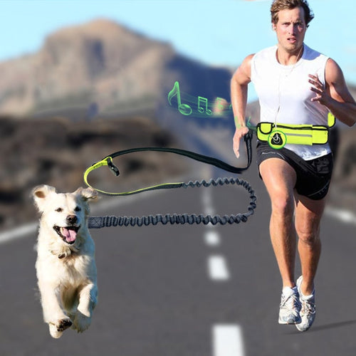 Handsfree Bungee Dog Leash Itdinos
