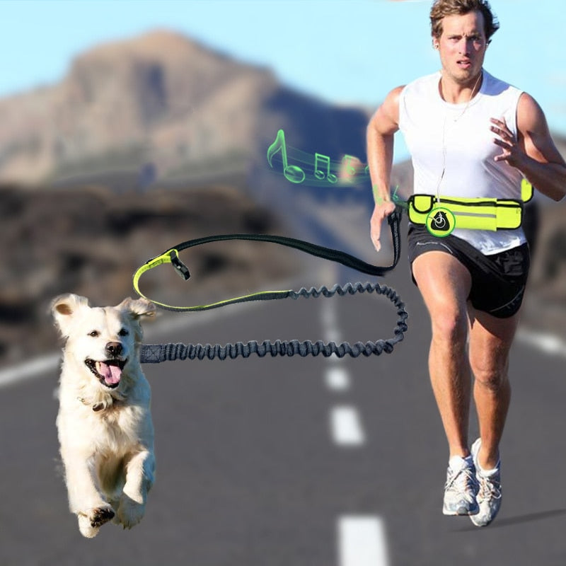 Handsfree Bungee Dog Leash Itdinos