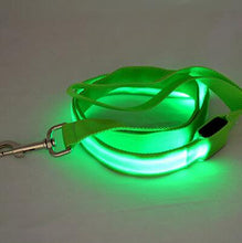 Load image into Gallery viewer, Glow In Dark Dog Leash Itdinos
