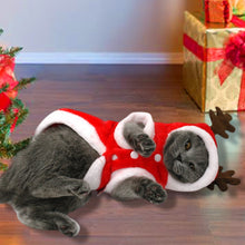 Load image into Gallery viewer, Christmas Cat Clothes Small Dogs Cats Santa Costume Itdinos
