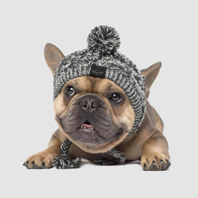Load image into Gallery viewer, Warm Winter Pet Hat Itdinos
