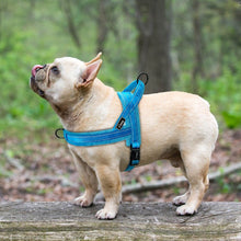 Load image into Gallery viewer, Nylon Reflective Pet Dog Harnesses Vest Soft Flannel Padded No Pull Strap Harness For Walking Training Small Medium Large Dogs Itdinos
