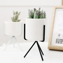 Lade das Bild in den Galerie-Viewer, 1Set Nordic Style Ceramic Iron Art Vase Minimalism Flower Vases Home Decoration Green Plant Flowerpot Coffeehouse OfficeRoom Itdinos
