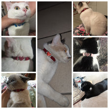 Load image into Gallery viewer, Cat Collar With Bell Collar For Cats Kitten Puppy Leash Collars For Cats Dog Chihuahua Pet Cat Collars Leashes Lead Pet Supplies Itdinos
