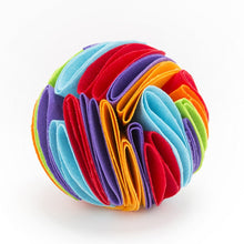Load image into Gallery viewer, Pet Snuffle Ball Toy Itdinos
