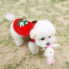 Load image into Gallery viewer, Christmas Cat Clothes Small Dogs Cats Santa Costume Itdinos
