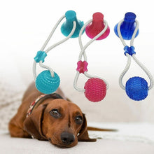Load image into Gallery viewer, Dog Chew Toy With Suction Cup Itdinos
