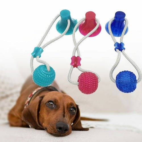 Dog Chew Toy With Suction Cup Itdinos