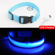Load image into Gallery viewer, USB Charging Led Dog Collar Anti-Lost/Avoid Car Accident Collar Itdinos
