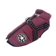 Load image into Gallery viewer, Pet Harness Vest Clothes Puppy Clothing Waterproof Dog Jacket Itdinos
