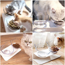 Load image into Gallery viewer, Pet Double Cat Bowl With Raised Stand Itdinos
