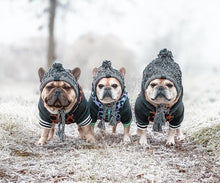 Load image into Gallery viewer, Warm Winter Pet Hat Itdinos
