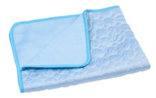Load image into Gallery viewer, Pet Pad Summer Cooling Mat Dog Beds Mats Blue Pet Ice Pad Cool  Cold Silk Moisture-Proof  Cooler Mattress Cushion Puppy Itdinos

