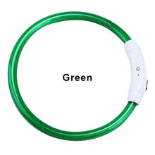 Load image into Gallery viewer, LED Dog Collar USB Charging Flashing Night Cat Collars Luminous Anti-Lost Avoid Car Accident Safety Pets Harnesses Leads Itdinos
