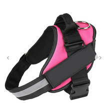 Load image into Gallery viewer, Dog Name Collar Vest Itdinos
