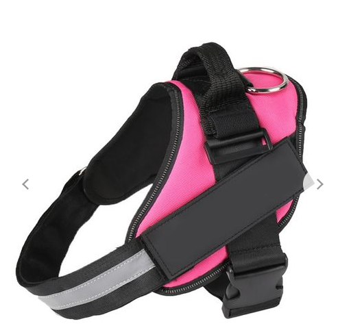 Dog Name Collar Vest Itdinos
