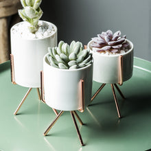 Lade das Bild in den Galerie-Viewer, 1Set Nordic Style Ceramic Iron Art Vase Minimalism Flower Vases Home Decoration Green Plant Flowerpot Coffeehouse OfficeRoom Itdinos
