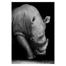 Lade das Bild in den Galerie-Viewer, Canvas Painting Animal Wall Art Itdinos
