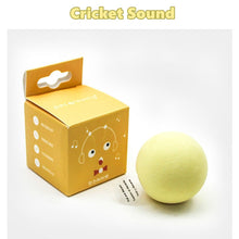 Load image into Gallery viewer, Interactive Ball Catnip Cat Training Toy Itdinos
